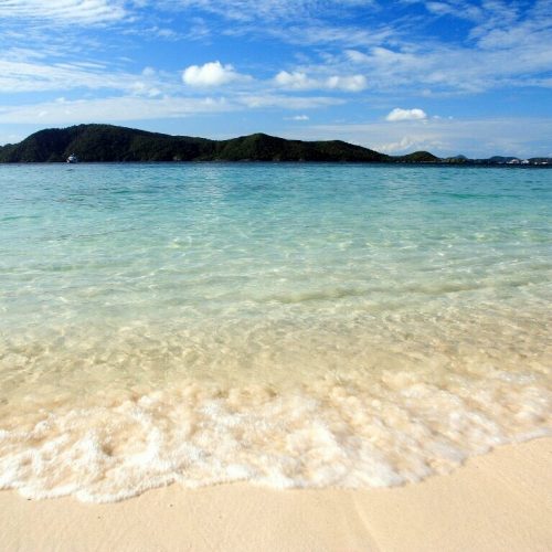 コーラル島 レストラン