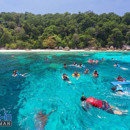 シミラン諸島 シュノーケリング
