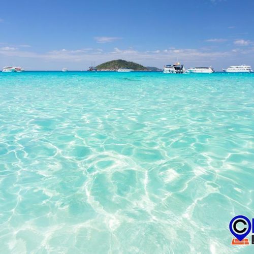 シミラン諸島 ダイビングクルーズ