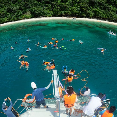 ピピ島ツアー 現地