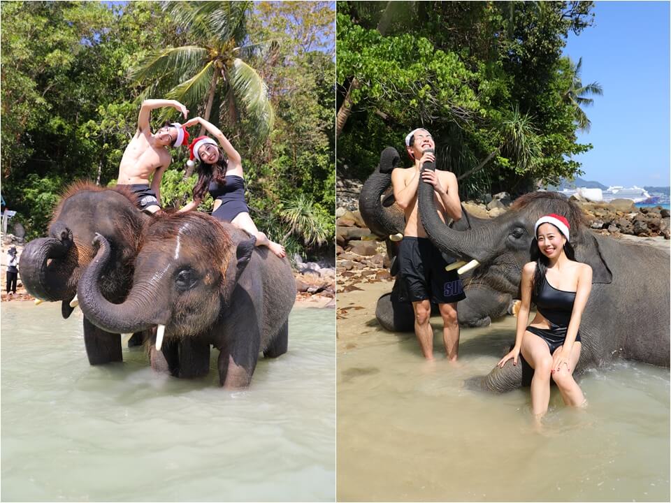 象と水浴び体験