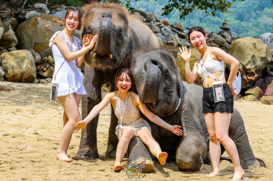 エレファントスイム プーケットで3頭の象と海に入る女性4名