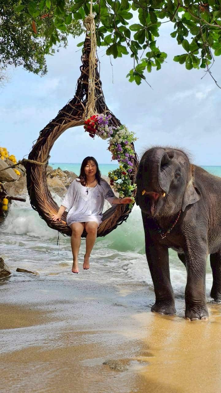 プーケットの海辺で花のブランコと象を一緒に撮影する女性
