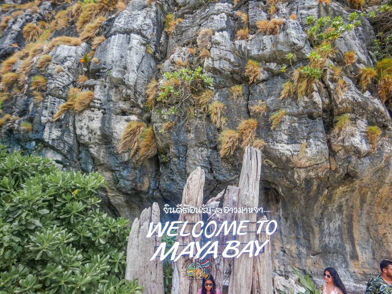 マヤベイのWELCOME TO MAYA BAY看板と石灰岩