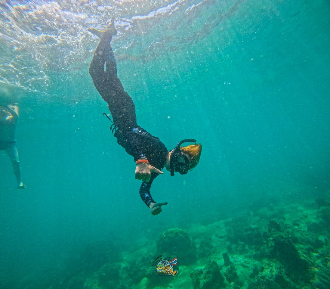ピピ島周辺の海でサンゴ礁を見ながらシュノーケリングするお客様