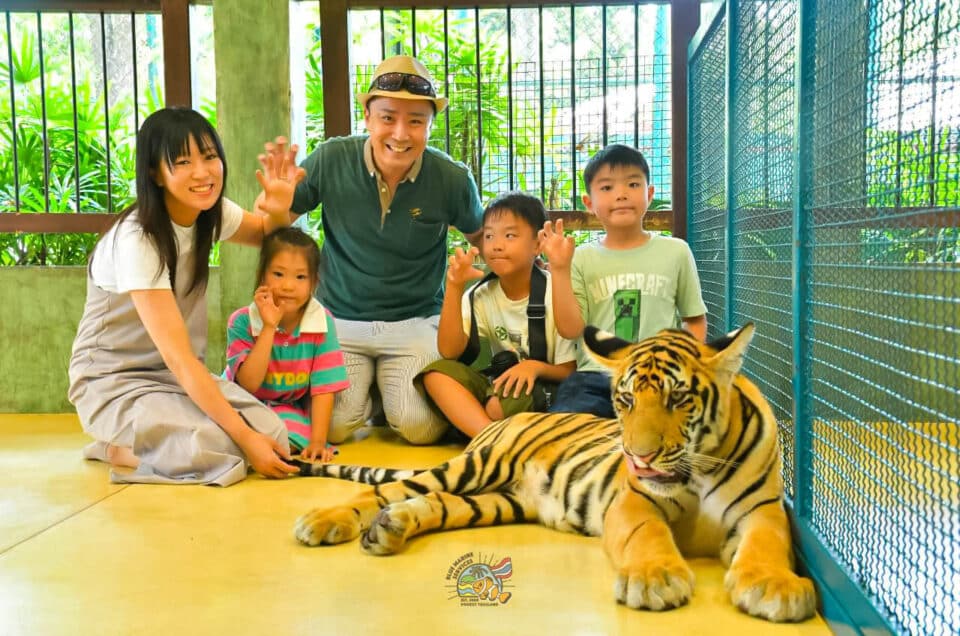 タイガーキングダムで若いトラと一緒に撮影する5名のお客様